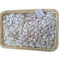New product healthy new harvest wholesale pumpkin seeds for sale
